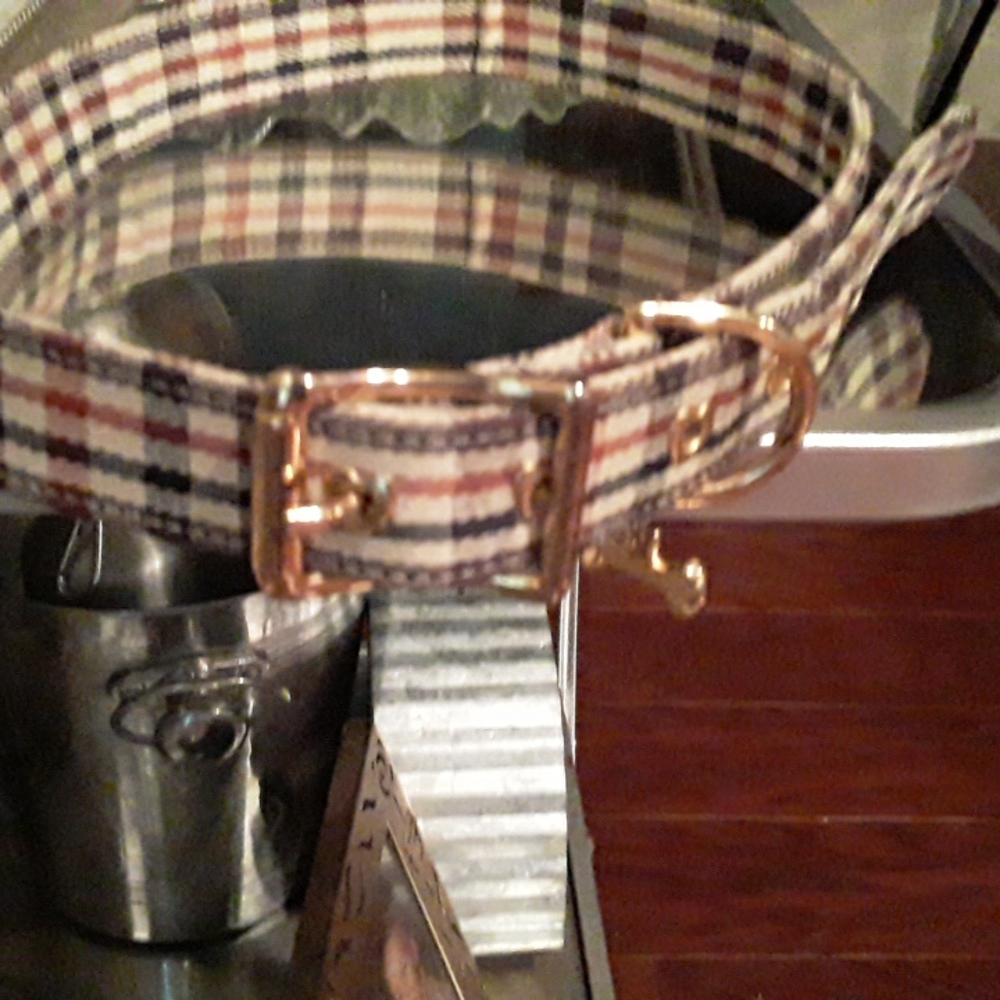 Fox & Hound Dog Collar
